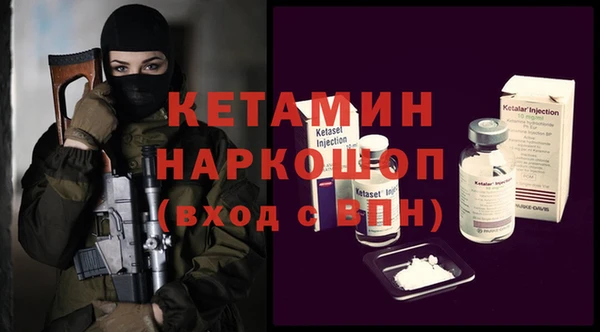 гашик Алексин