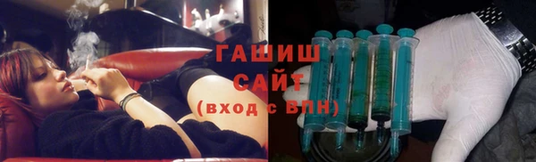 гашик Алексин