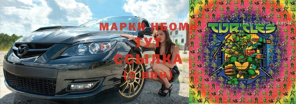 сатива Абаза