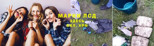гашик Алексин