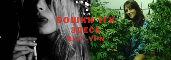 гашик Алексин