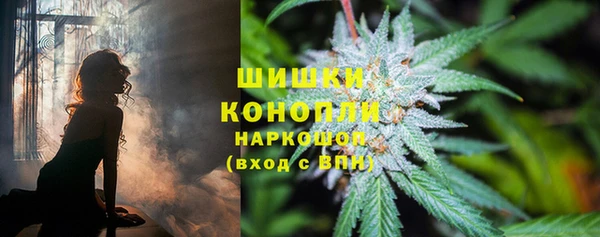 каннабис Алзамай