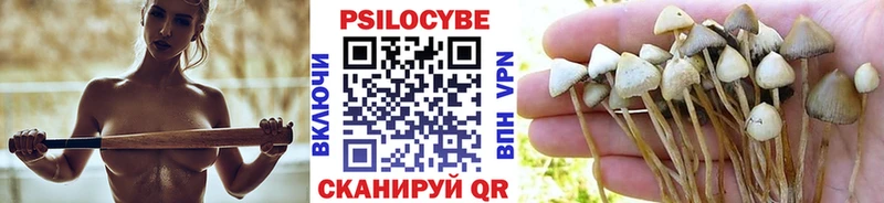 Псилоцибиновые грибы Psilocybine cubensis  где можно купить   Севастополь 